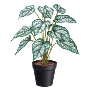 Umělá Rostlina V: 38cm