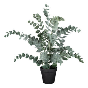 Umělá Rostlina Eucalyptus, V: 53cm