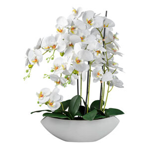 Umělá Rostlina Orchidej, V: 63cm