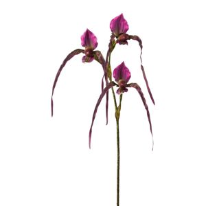 Orchidej 3019255mm-00